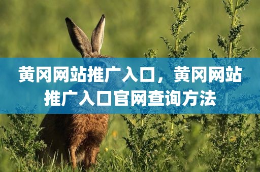 黄冈网站推广入口，黄冈网站推广入口官网查询方法