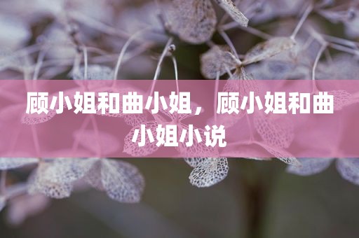 顾小姐和曲小姐，顾小姐和曲小姐小说