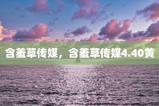 含羞草传媒，含羞草传媒4.40黄