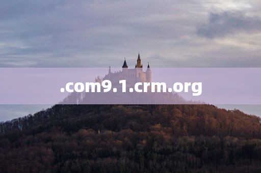 .com9.1.crm.org