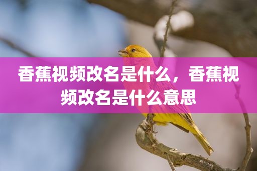 香蕉视频改名是什么，香蕉视频改名是什么意思