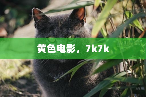 黄色电影，7k7k