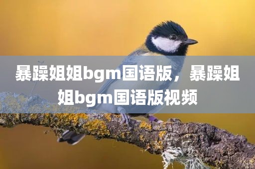暴躁姐姐bgm国语版，暴躁姐姐bgm国语版视频