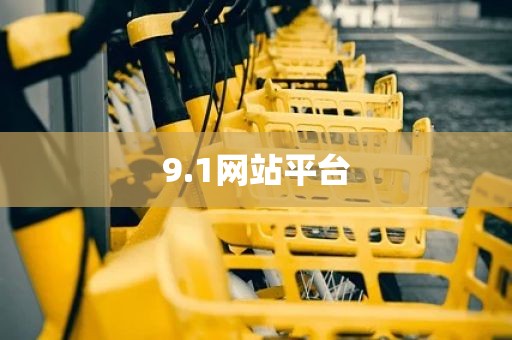 9.1网站平台