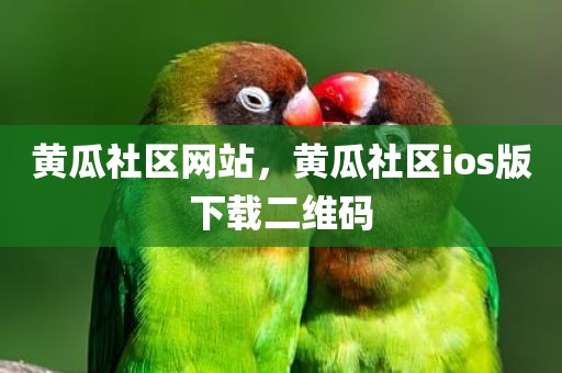 黄瓜社区网站，黄瓜社区ios版下载二维码