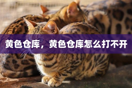 黄色仓库，黄色仓库怎么打不开