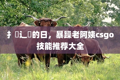 扌喿辶畐的日，暴躁老阿姨csgo技能推荐大全