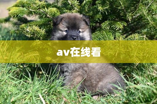 av在线看