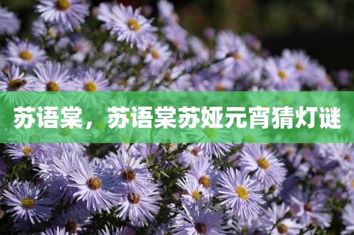苏语棠，苏语棠苏娅元宵猜灯谜
