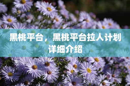 黑桃平台，黑桃平台拉人计划详细介绍