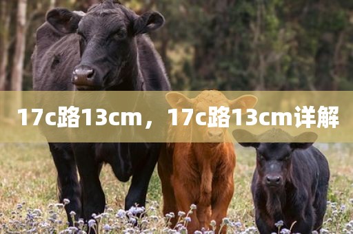 17c路13cm，17c路13cm详解