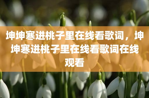 坤坤寒进桃子里在线看歌词，坤坤寒进桃子里在线看歌词在线观看