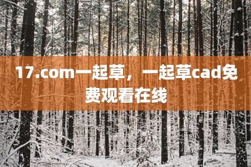 17.com一起草，一起草cad免费观看在线