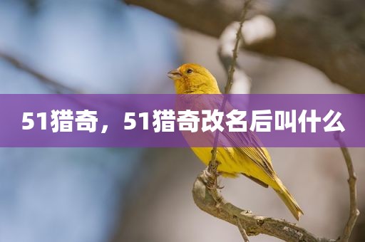 51猎奇，51猎奇改名后叫什么