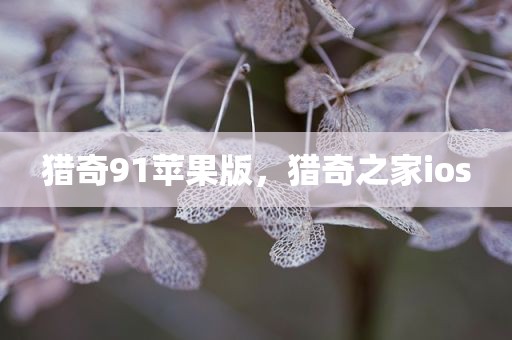 猎奇91苹果版，猎奇之家ios