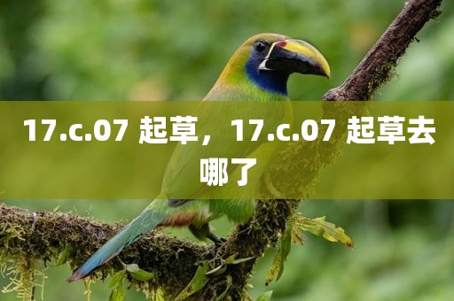 17.c.07 起草，17.c.07 起草去哪了