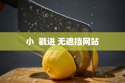 小  戳进 无遮挡网站