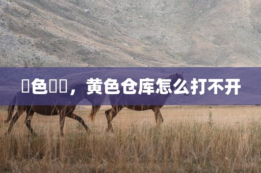黃色倉庫，黄色仓库怎么打不开