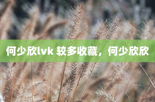 何少欣lvk 较多收藏，何少欣欣