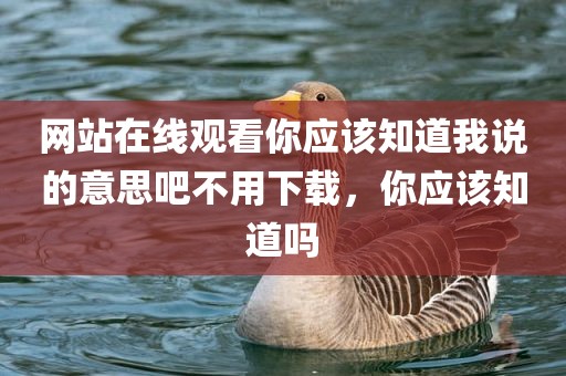 网站在线观看你应该知道我说的意思吧不用下载，你应该知道吗