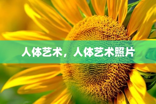 人体艺术，人体艺术照片