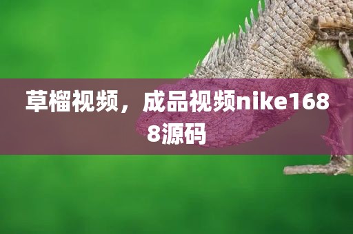 草榴视频，成品视频nike1688源码