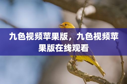九色视频苹果版，九色视频苹果版在线观看