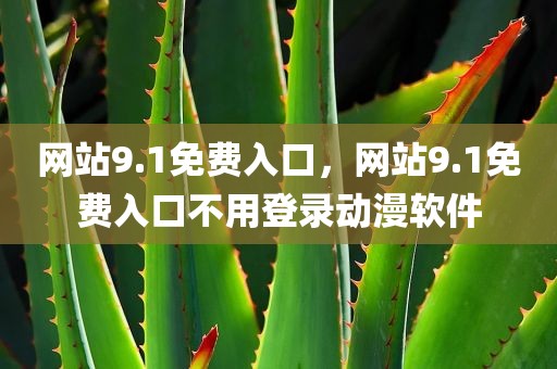 网站9.1免费入口，网站9.1免费入口不用登录动漫软件
