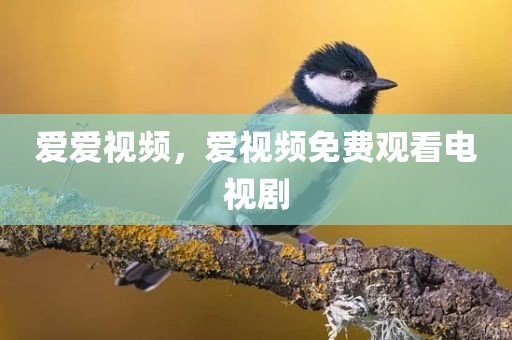 爱爱视频，爱视频免费观看电视剧