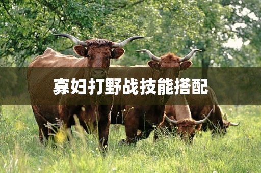 寡妇打野战技能搭配