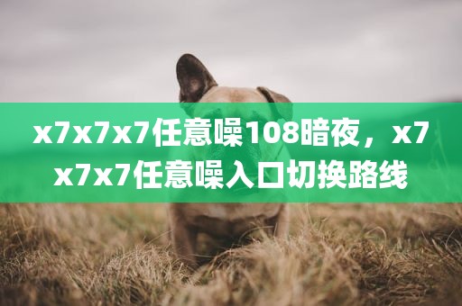 x7x7x7任意噪108暗夜，x7x7x7任意噪入口切换路线