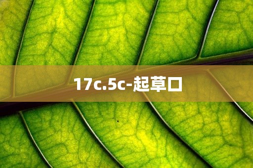 17c.5c-起草口