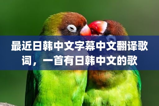 最近日韩中文字幕中文翻译歌词，一首有日韩中文的歌