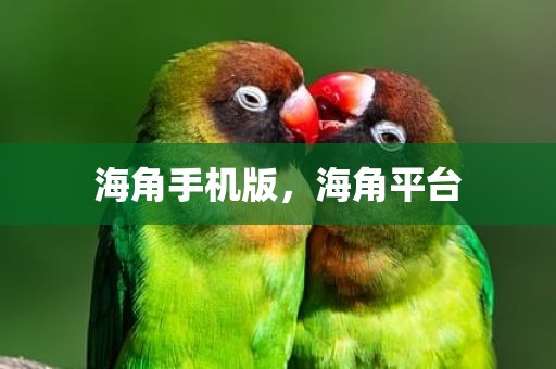 海角手机版，海角平台