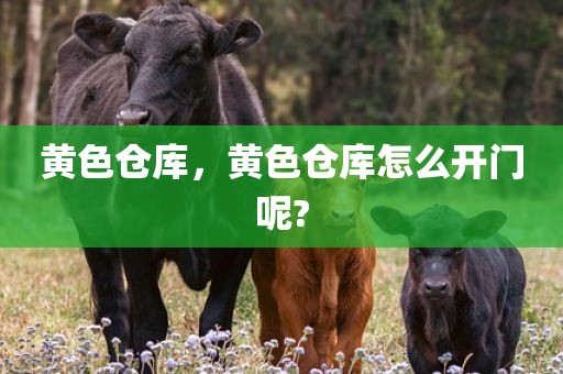 黄色仓库，黄色仓库怎么开门呢?