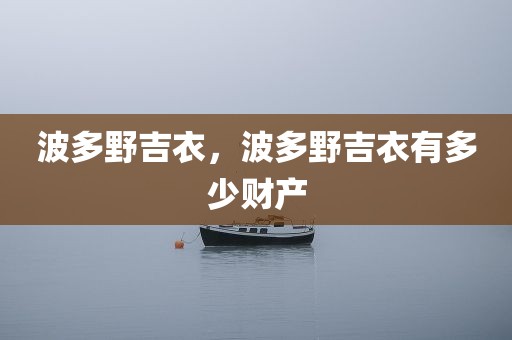 波多野吉衣，波多野吉衣有多少财产