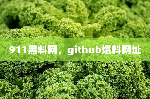 911黑料网，github爆料网址