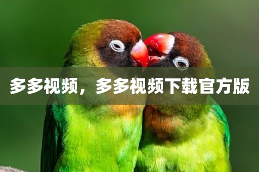 多多视频，多多视频下载官方版