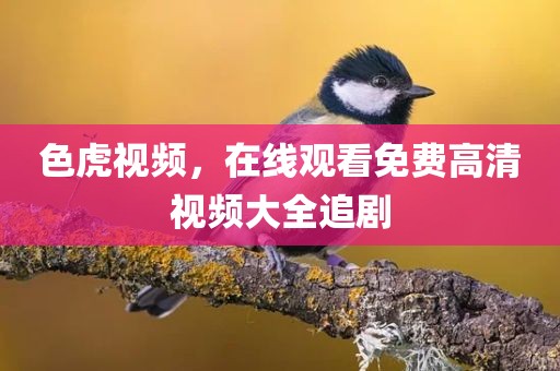 色虎视频，在线观看免费高清视频大全追剧