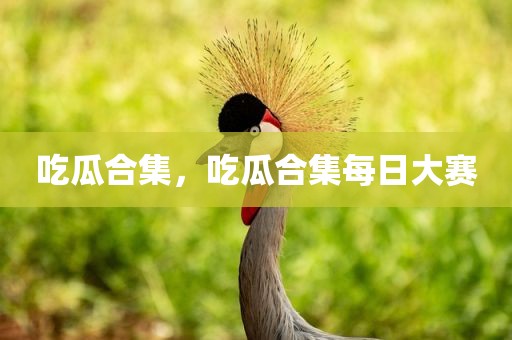 吃瓜合集，吃瓜合集每日大赛