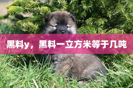 黑料y，黑料一立方米等于几吨