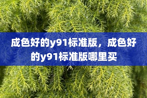 成色好的y91标准版，成色好的y91标准版哪里买
