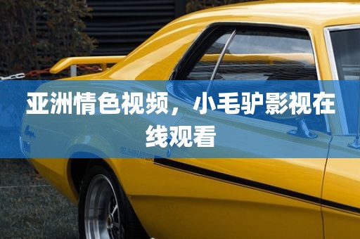 亚洲情色视频，小毛驴影视在线观看
