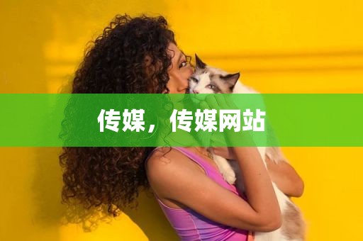 传媒，传媒网站