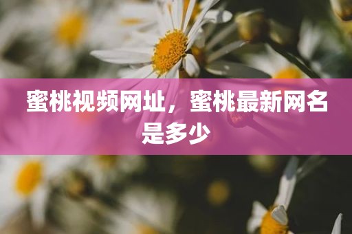 蜜桃视频网址，蜜桃最新网名是多少
