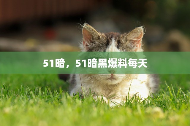 51暗，51暗黑爆料每天