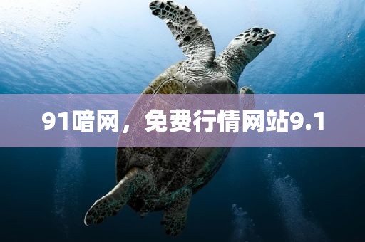 91喑网，免费行情网站9.1