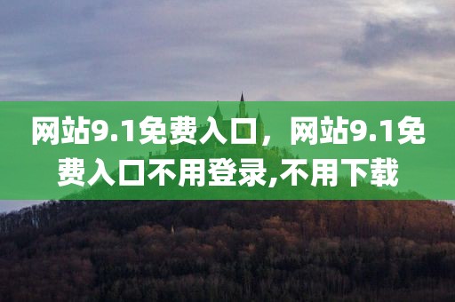 网站9.1免费入口，网站9.1免费入口不用登录,不用下载