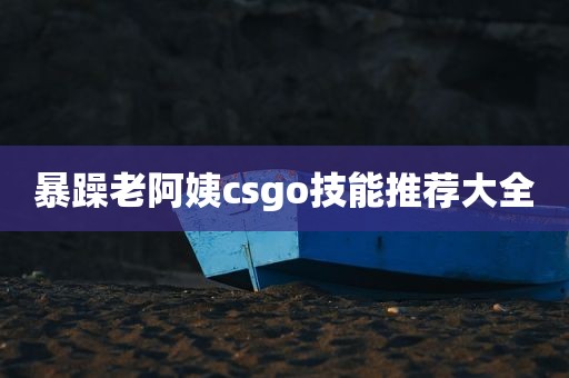 暴躁老阿姨csgo技能推荐大全
