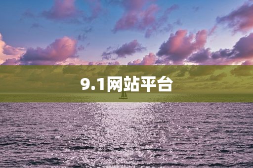 9.1网站平台